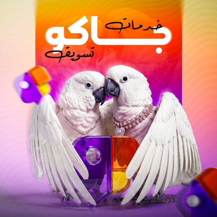 عزّز تفاعل البث الخاص بك