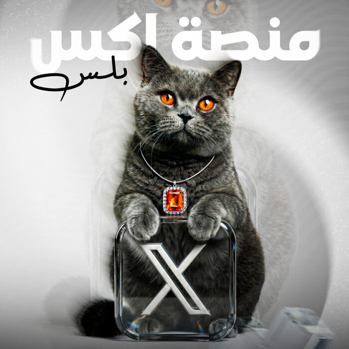 مزايا إضافية لحضور رقمي أقوى