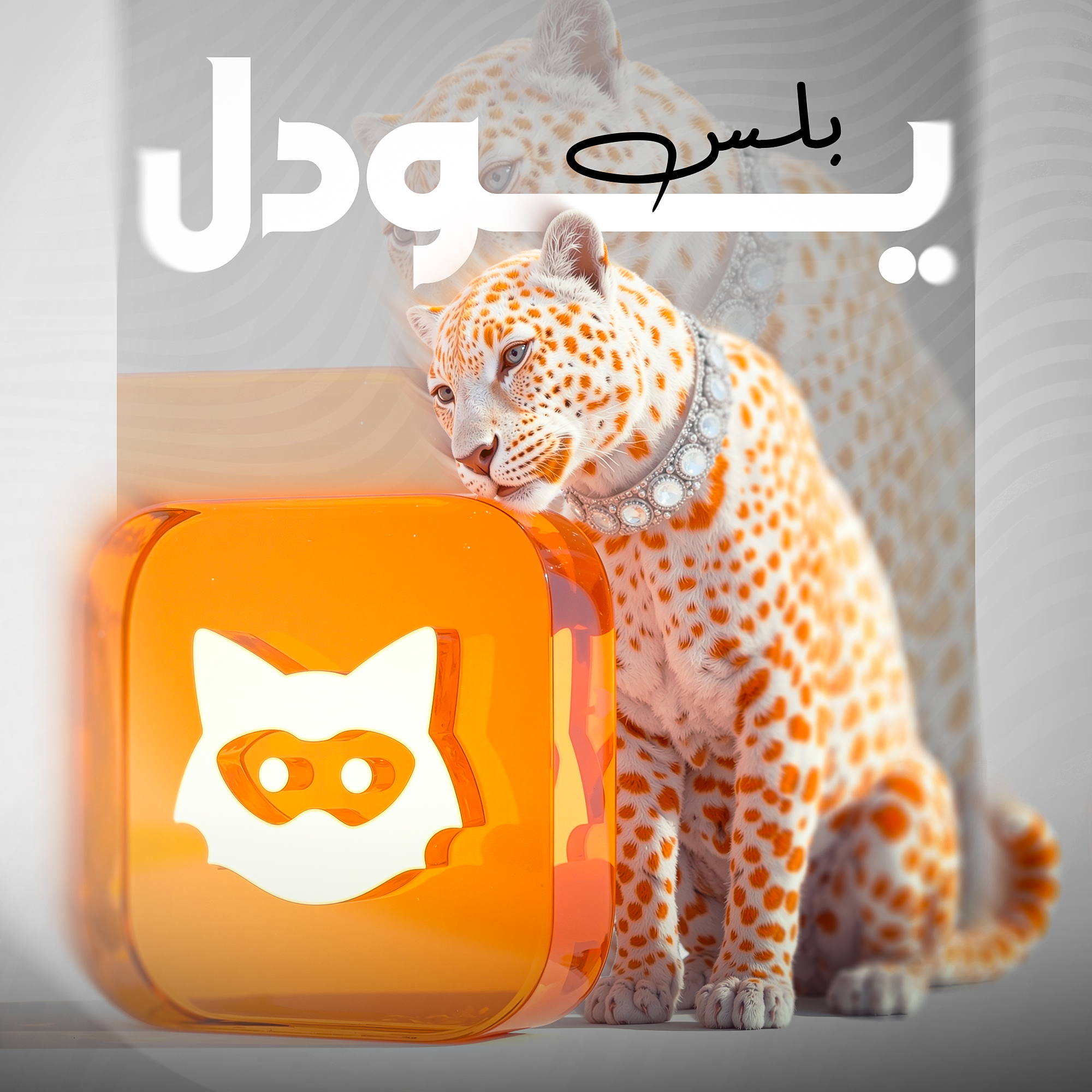 يودل بلس يودل بلس